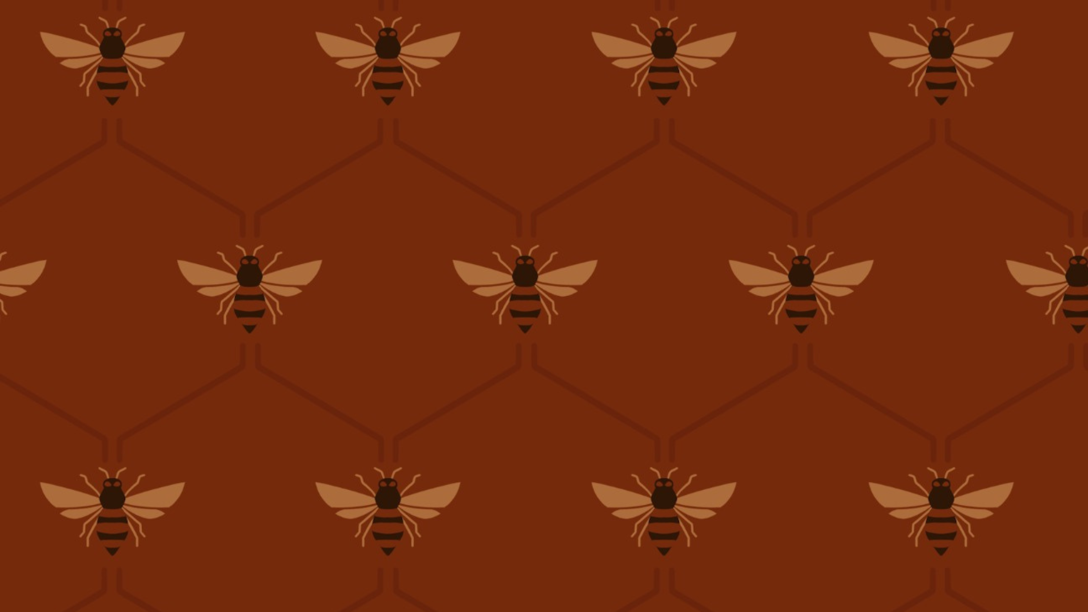 Honeycomb Print Bee Gracie moda fitness feminina